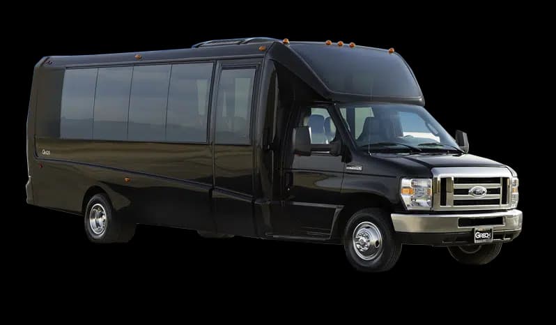 Luxury Minibus